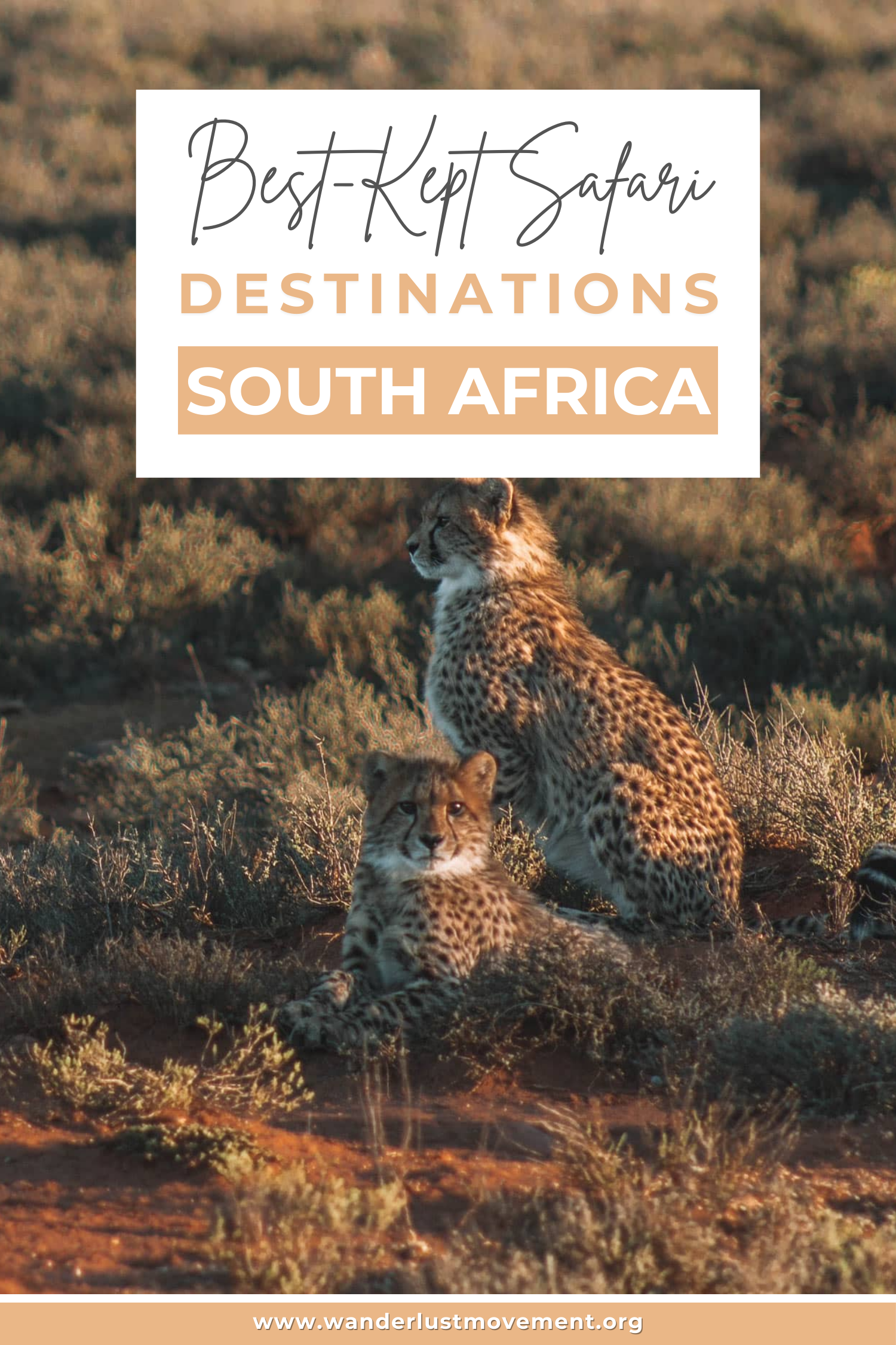 6 Spectacular Safari Destinations in South Africa (You\'ve Never Heard Of)