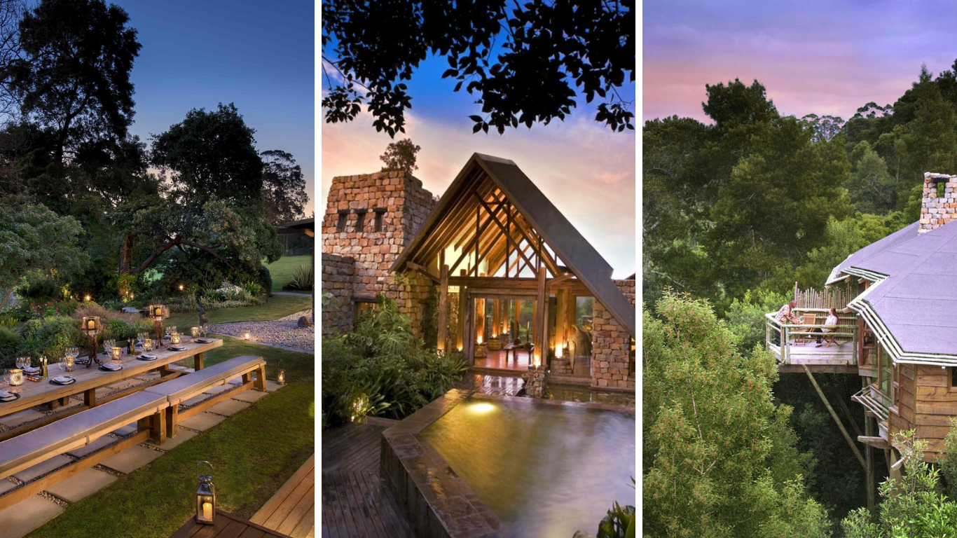 tsala treetops honeymoon destination in south africa
