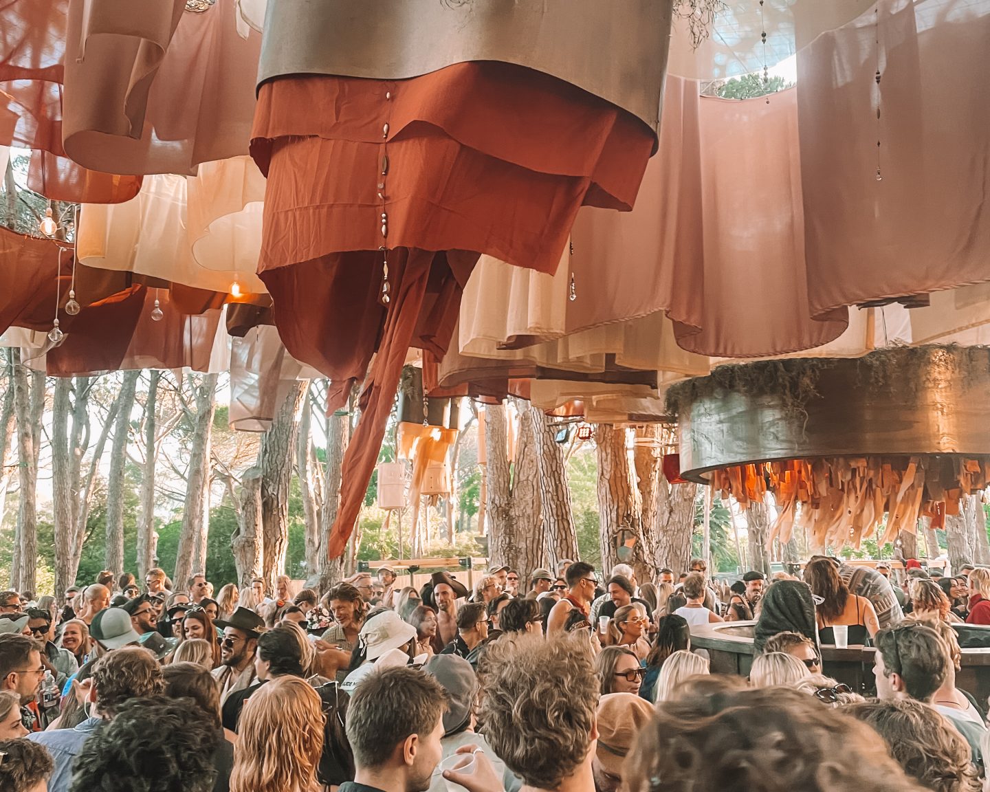 senses - one day festival in cape town