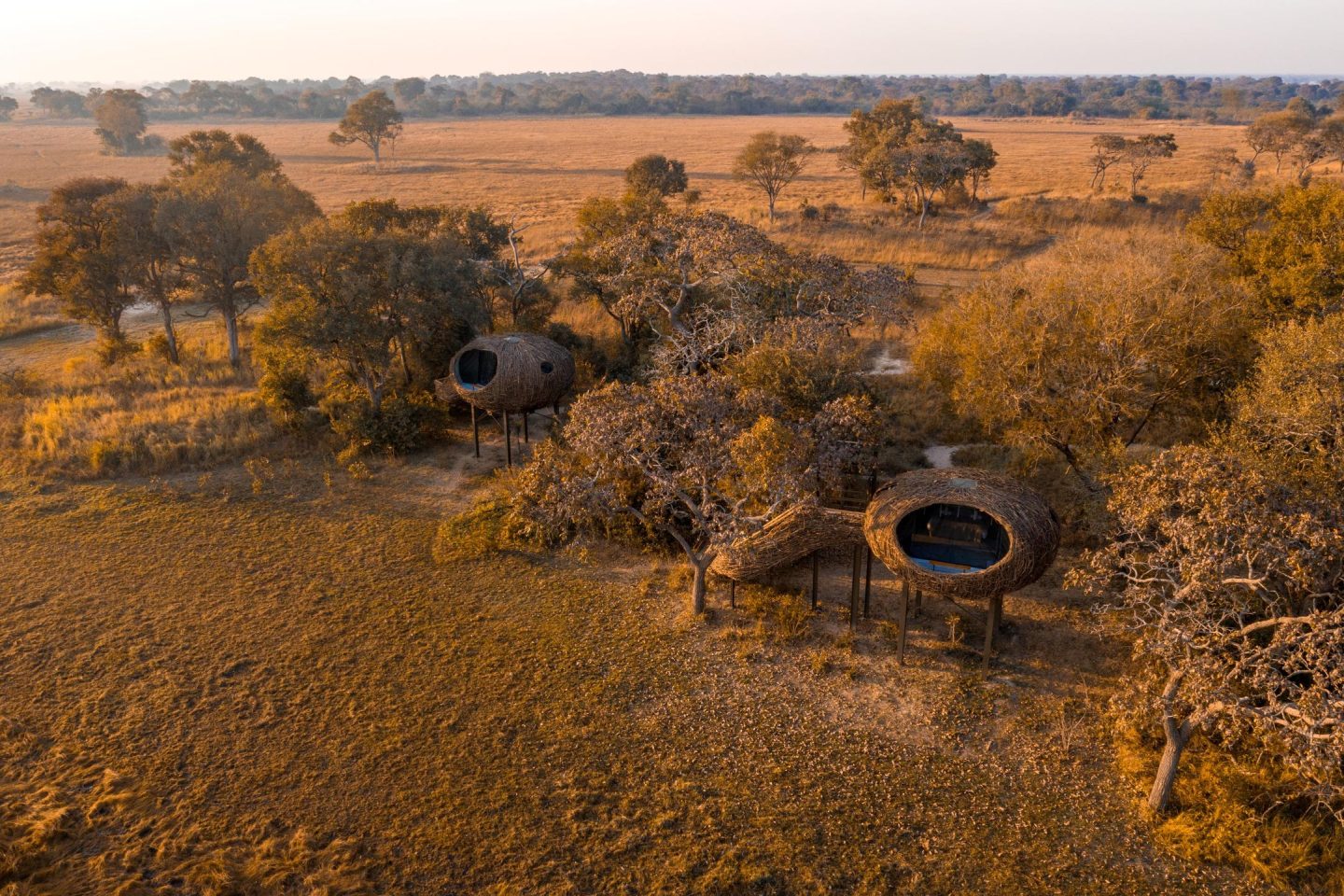 Chisa Busanga The Camp
