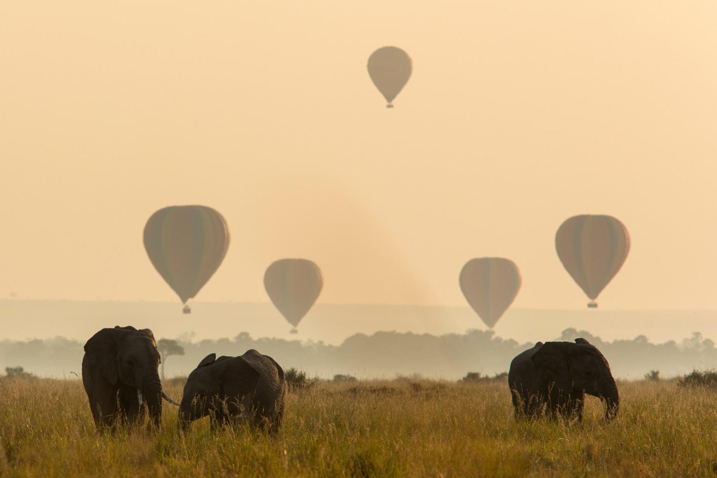 Hot Air Ballooning over the Mara