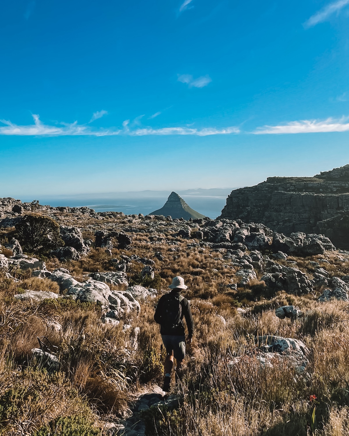 tranquility cracks on top of table mountain